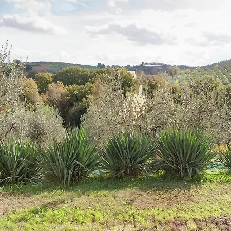 In A With Swimming Pool Сasa de vacaciones Giano dellʼUmbria